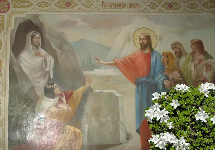 ������� 6-� ������� �������� �����. ����������� ���������� ������.