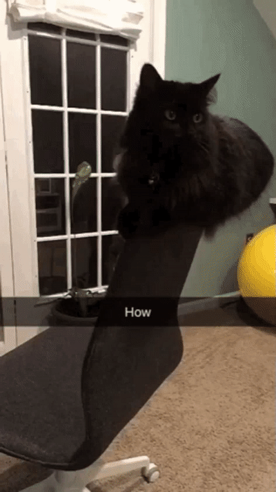 ������� ������� �� ���� ����� �������: ��� � �����?