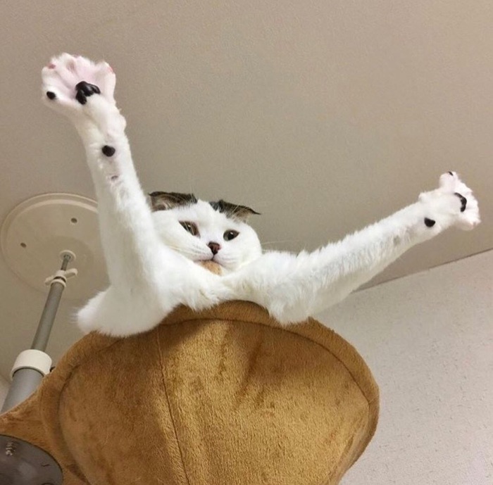 ������� ����