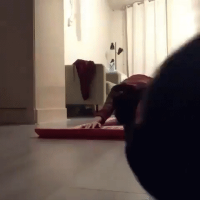 ������� � ���, ������ � ����� �� ���� �������� ���� � �����