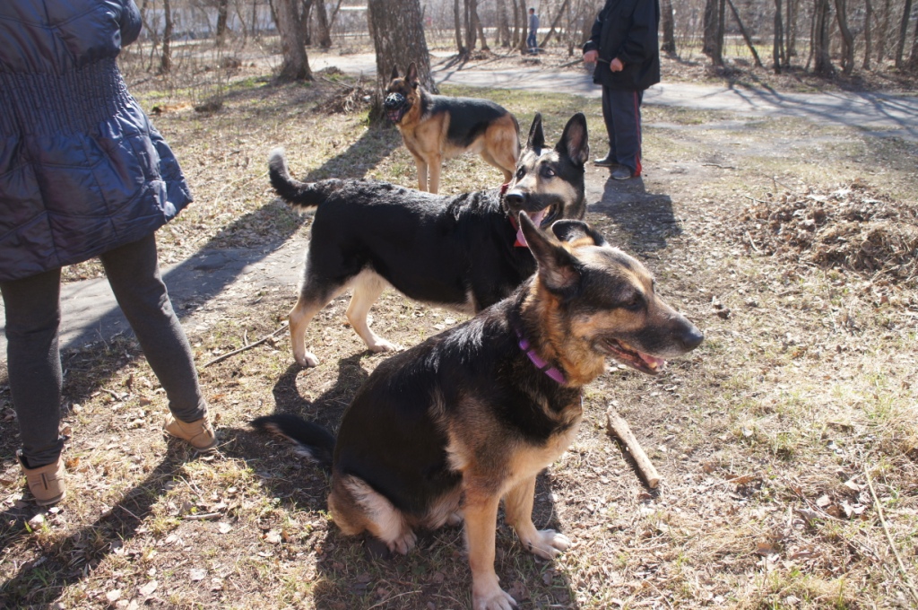 ����� ������� ���� �������� ���������� ��� ��������� ������� (20 ������ 19 ���)