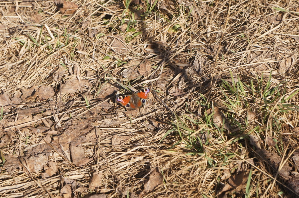 20 ������ 19 ���. �������-��������