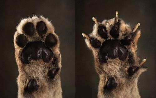 ������� ����