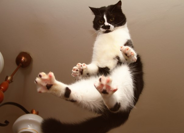 ������� ����