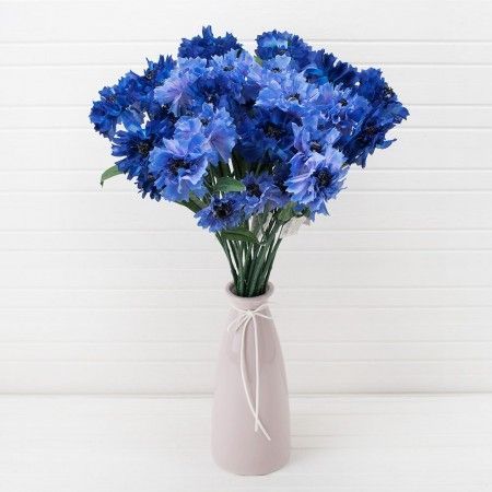 ��������� ��������� �����, � ������� !!!