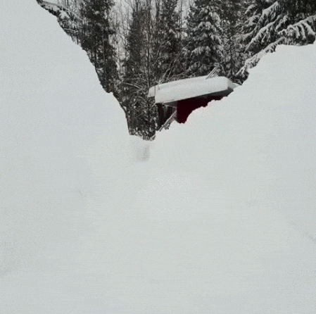 ����� ������� ������