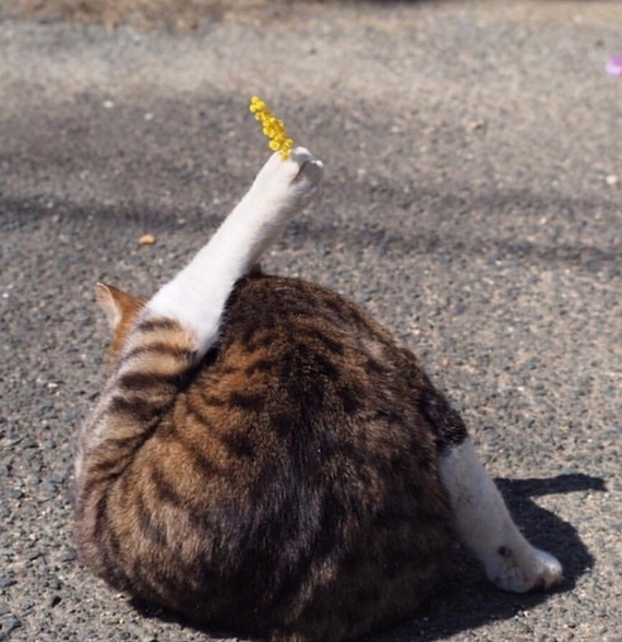 ����! � �������� �����.