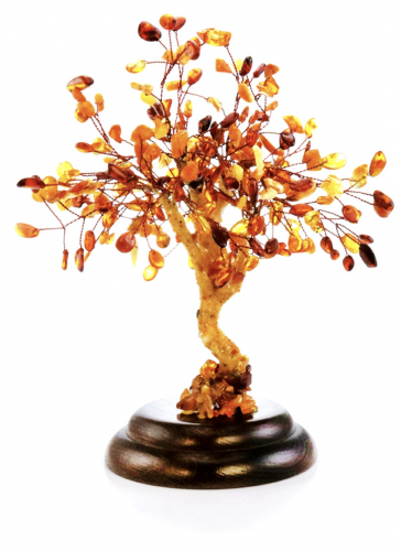 ���� �� 11.05. ��������� ������� �� ������,�������� � ������ ������.