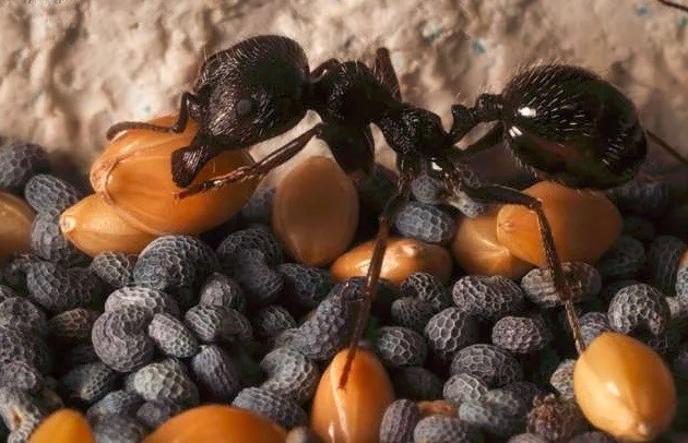 ���� ������� �� 06.05.2019 ����. ���������� ����� (����������), �������, ���� � ���������� ��� ���. ����� ������ � ����� ����.