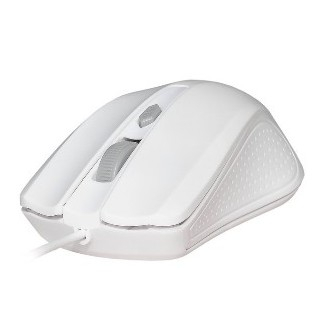 ���� �� 01.05.2019�. �����,�����������, ������������ �����,������ � ������ ������