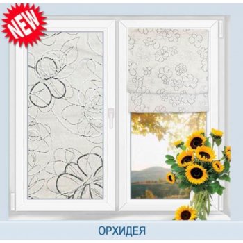 ������� ����� ������� 