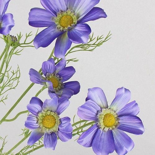 ���������� �����, 92�� 151 �