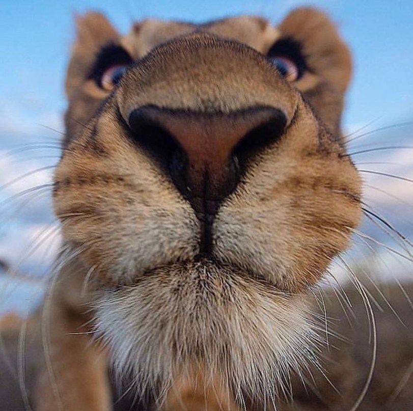 ���������� ��� ���������� ������� � ���� ����