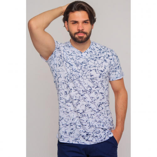 ������� ����������� �������� ���������������� �������, ����� ��������, v- �������� �����.