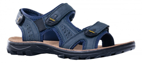 ���� �������. ������� ����� ��� ����� 11.