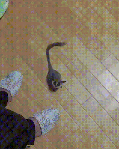 �������