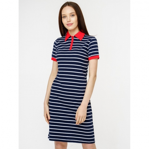 ������ ������� ���������������� ���� � �������� ����������. ������������ ��������