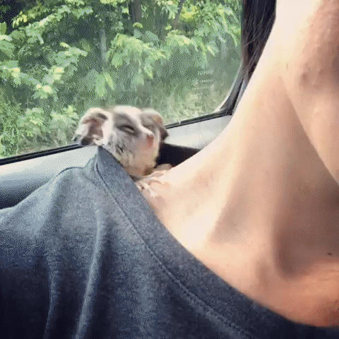 ����� � �������. ������� �� ������ � �� ������� ����� ��������.