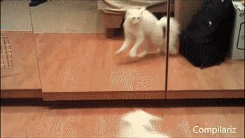 ����� ����������� ��ϣ ��������� ��������� �� �������