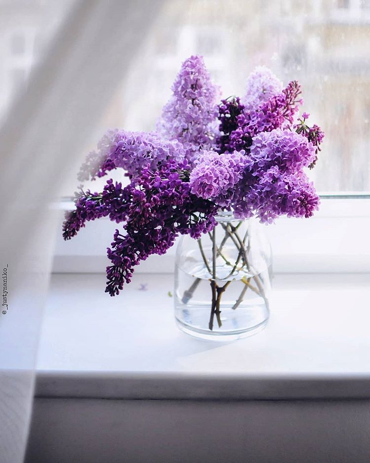 ��� ���� �������