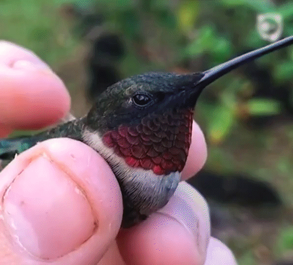 �������