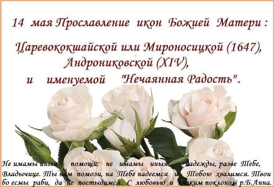 ���������  ����������,  �����  ��� !