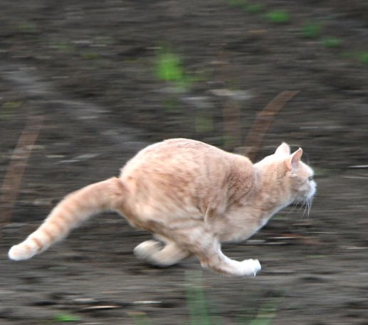 ����� ������� ������