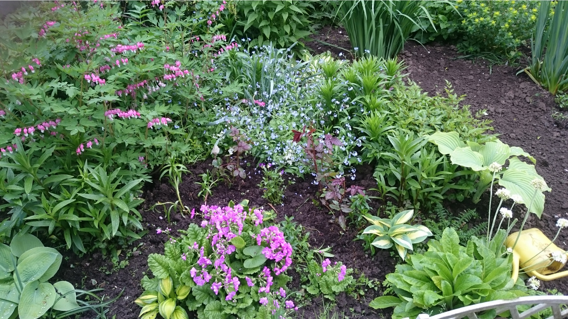 ���� �������. 30.05 ������ ��������! �����, ������������, ����������, ����������, ��������! ����������� ��������. �������� ��� �� ������ �������!