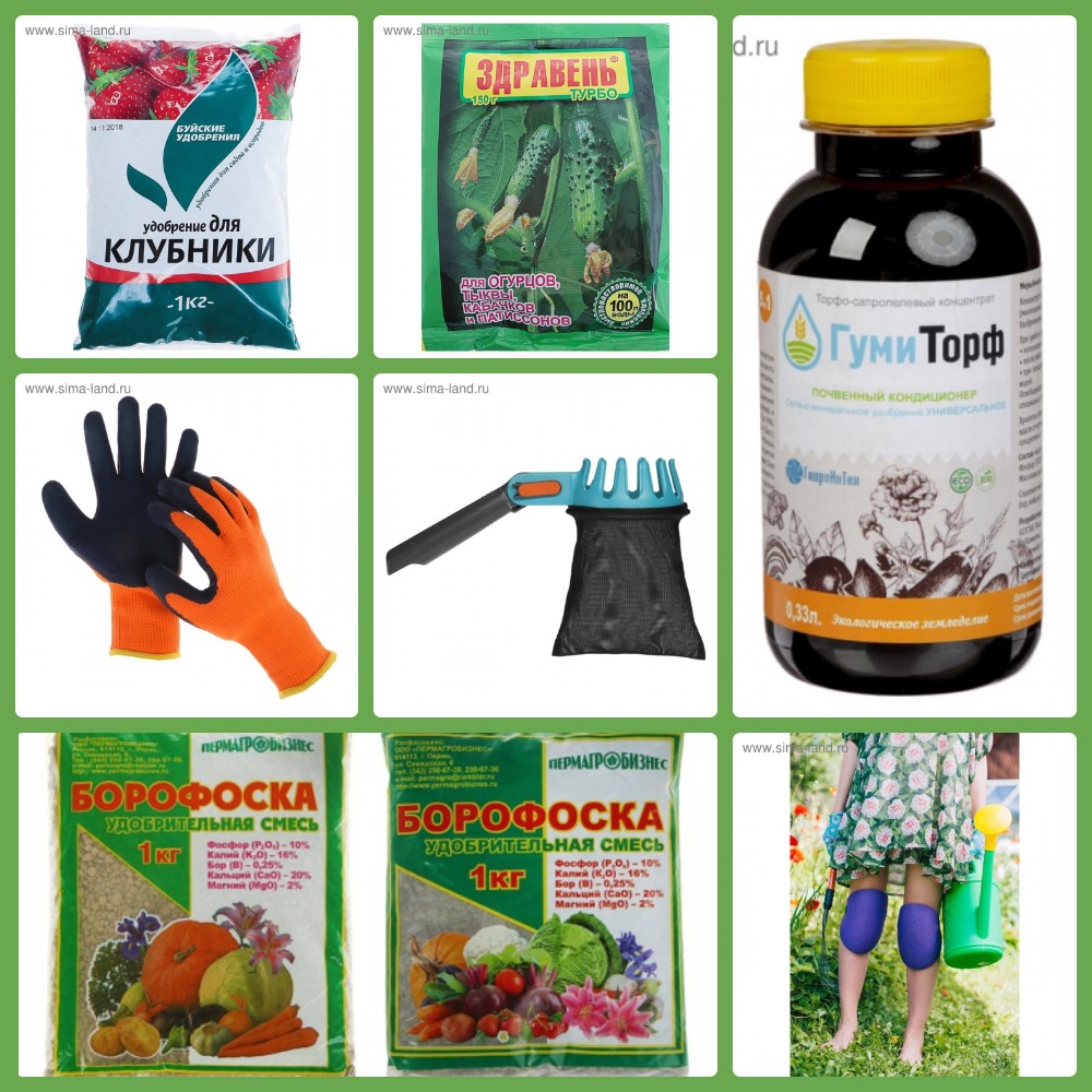  C��� �� 29.05.����-����-������;������ ��� �������;������;����� � ����� ��� ��������;������� ���������;��������� �/��������;��������� � �������;���������-5