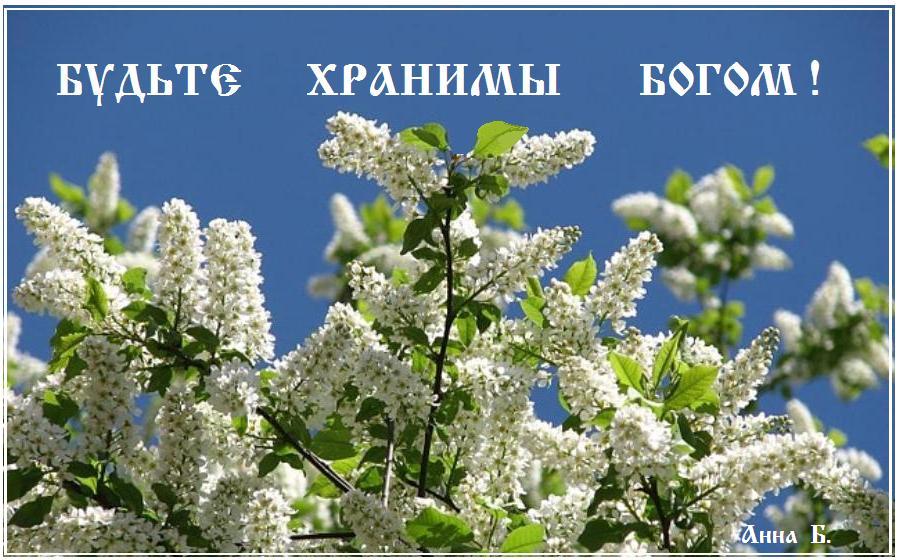 ��� ��� !   