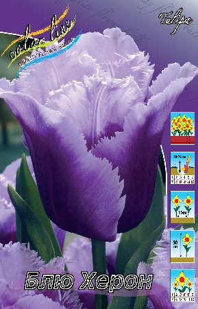 ���� �������. ���������� ��������� ����� 2019.