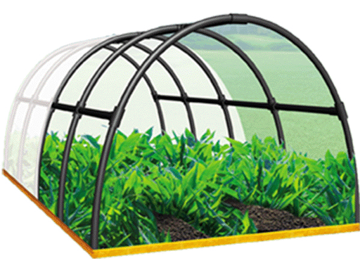 ������ ��� ���� � �������. �����-4. ������� 10.06.