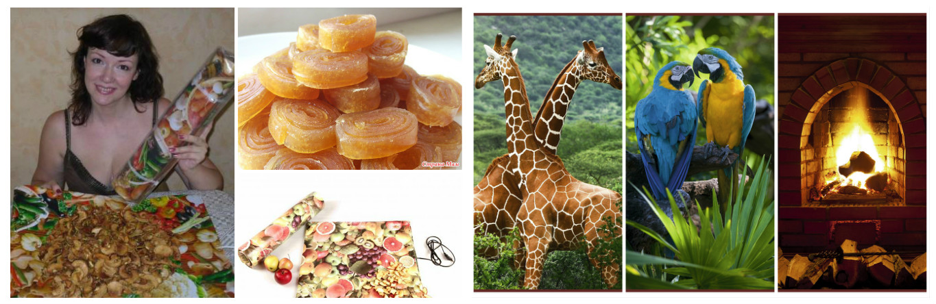 ���� �������. ������� ��� ������. �������, ������, ����, ����, �������� � �����������. � ����� ����, ������, �������� �����, �������, ��������� � ��. ��������� �������� ��������. ����������� ��������� ������������. ����� �����.