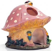 ������ ��� �������� � ����. ��������������. ����� 5. ���� 02.06.