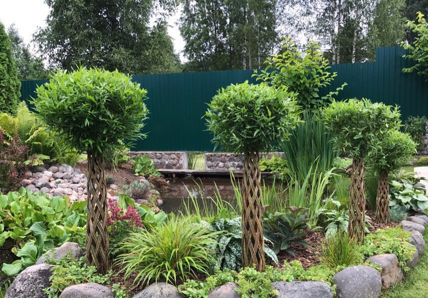 �������������� ����. �������� ���.