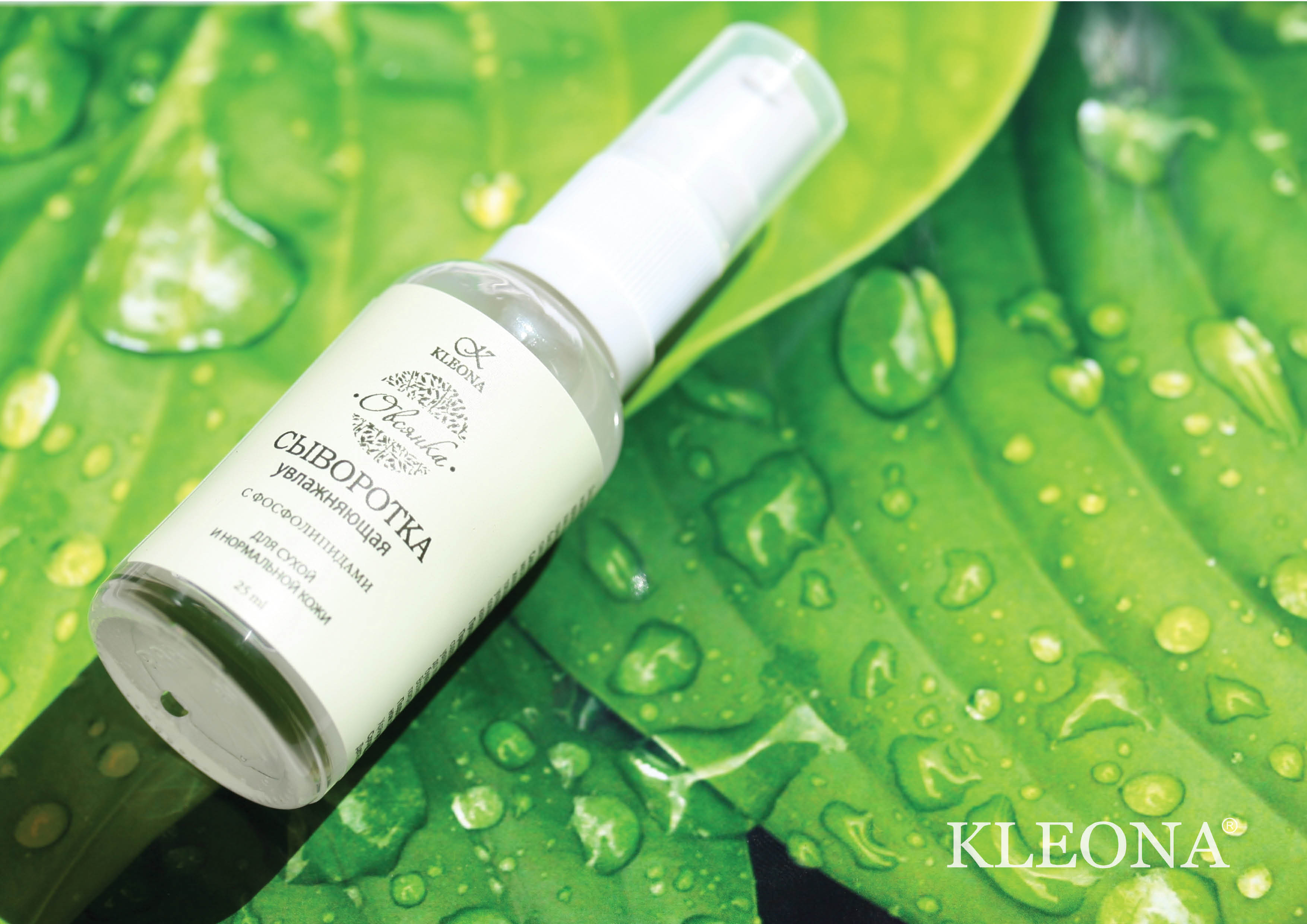 Kleona - ����������� �������� ������������ ���������. ����������� � ���������� ������� �� ����� �� �����, ����� � ��������. ������� ����� 8%! ����� 4