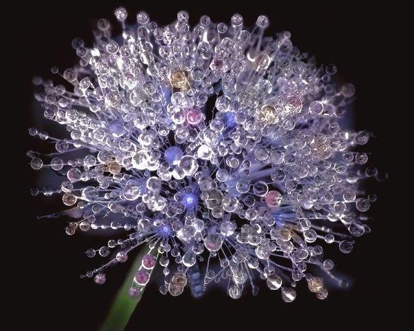 �������� ���� �� ����������