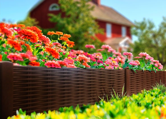 ������ ���. ������������ ������� ����������. �������, ���������, ������� �������, ����� ��� ������� �������, ����������. ������� 2019! ����� 30.