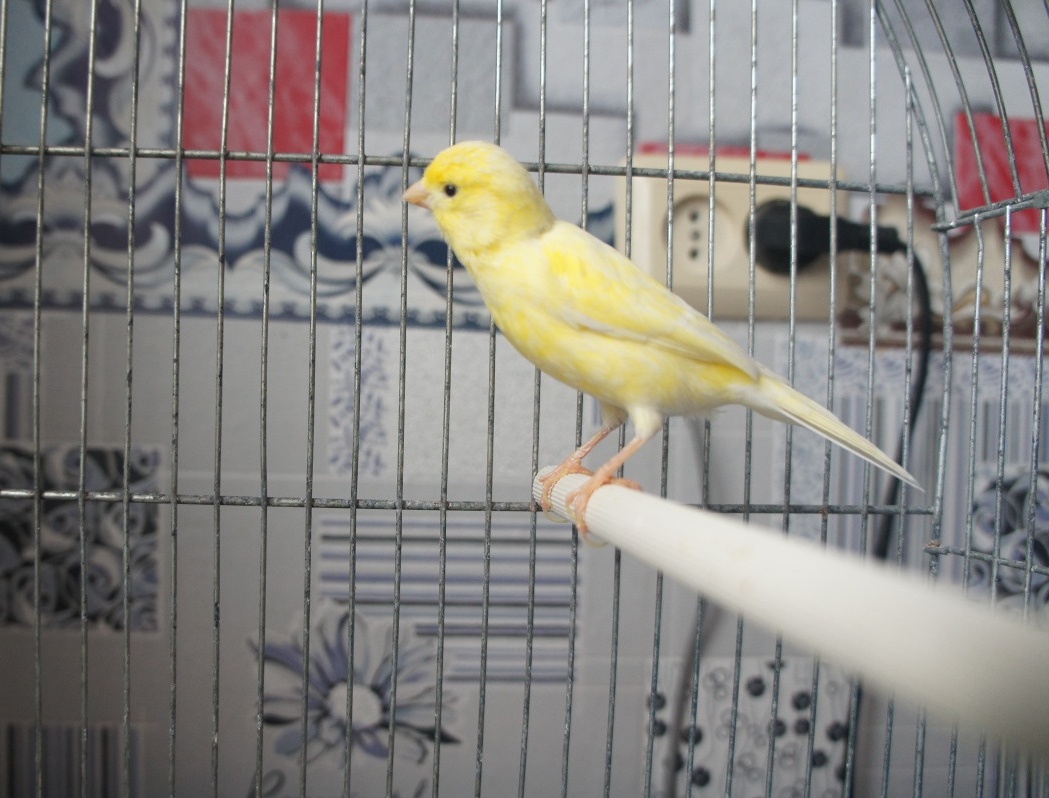 ��������� �����. 1000� ��� �����. �������. �.������� 