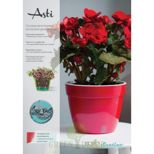 ������ 2 ��� ����������� �������� �� ����� ����������� �������� ��������� � �������� ���������� � ��������� ������ ����! ����� �� ����� ����������� �������.