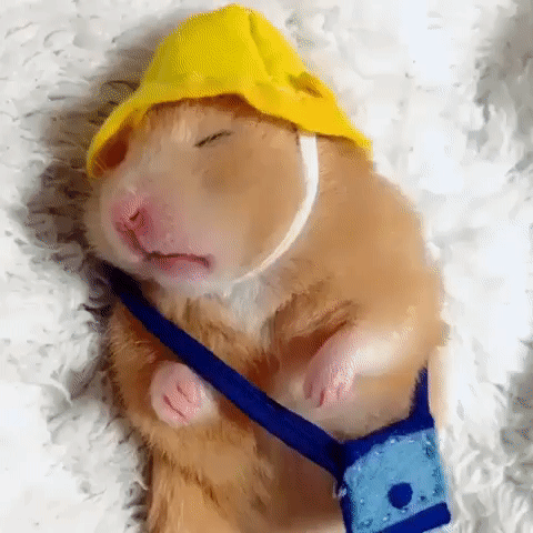 �����. ����. � ���. ������ ���� �����.