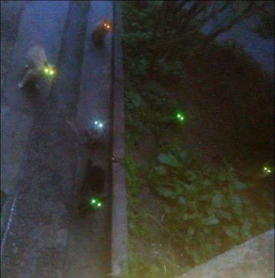 ����� ������ ���� ����� ������������� � ���� �� �����