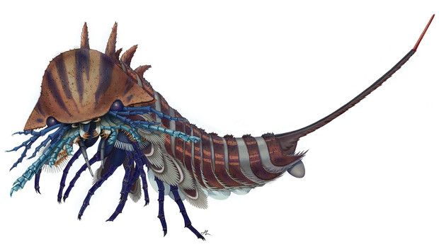 ������ ������� �������� ������������� ������ � ������