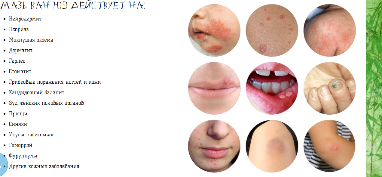 ������ ��������� ���������� ����! 