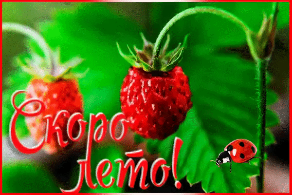 ��� �����