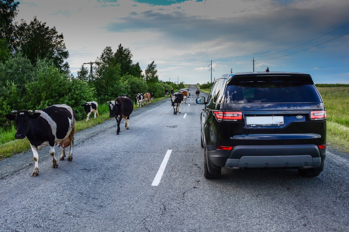 � ���� �� ������: ������� ������� ������������, � ������� ����� ����� �������