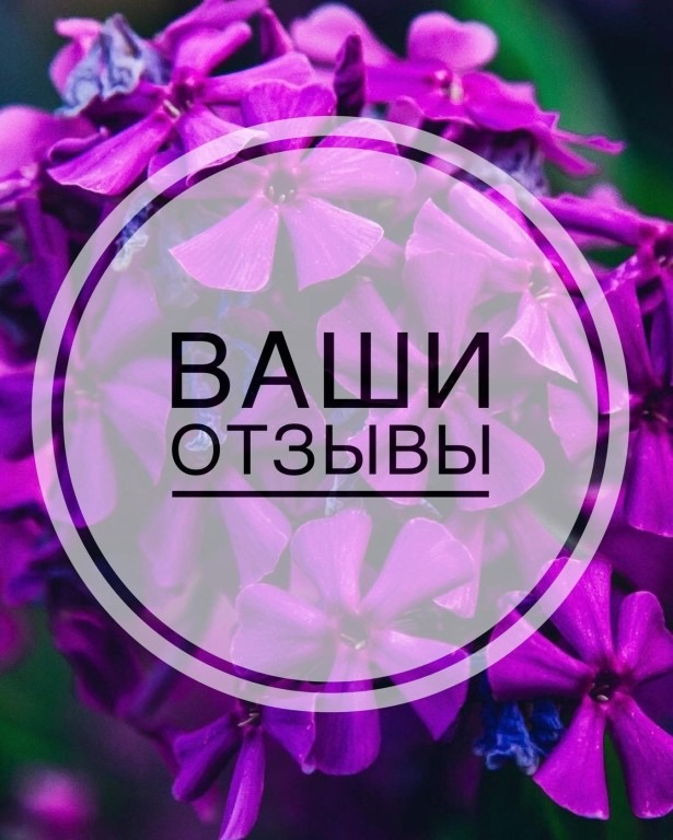 ���� ������� ������� ����� �� ����������� �����