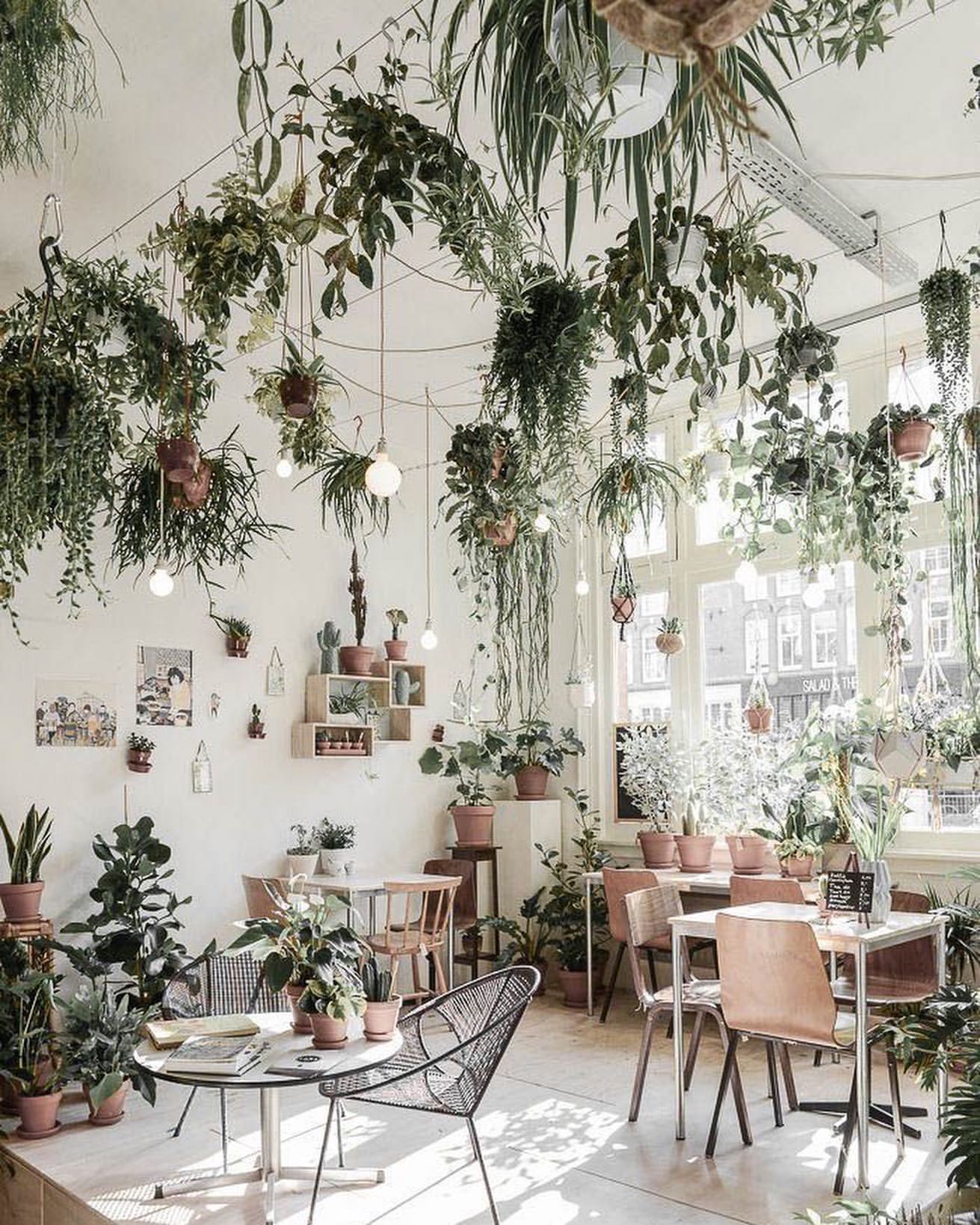 ������ ��� ������ � ���������, �������, ����������� ������������� �������� � �����, ������, �������! ���� ���������� � �������!!!