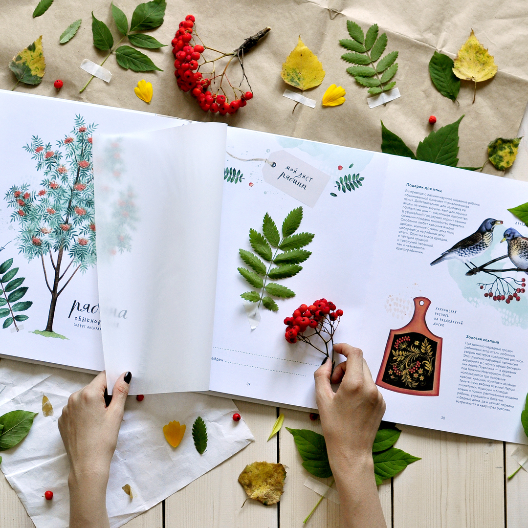 ���-�� ����, ������, ������, ��� ���������� �����. ���� �� ������� �����������! ����� ����, ������� ����� ����� � ������ ����� �����! � ���������� ������� Kumon!