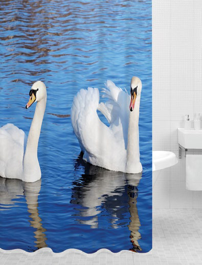 ���� �� 14.06. �������� ����� � ������ ��� �������� ����������. �������, ������, ������� ��� �����, �������, ������� �����-7.